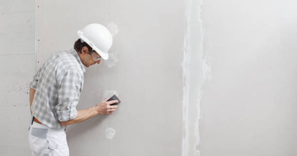 Reliable Tahoe Vista, CA Mold Removal Solutions