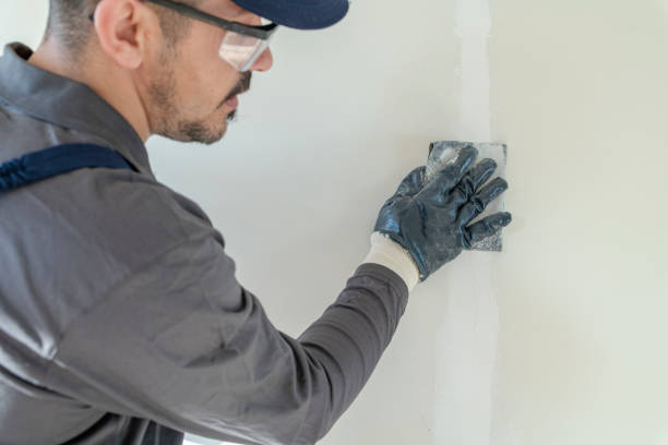 Mold Odor Removal Services in Tahoe Vista, CA