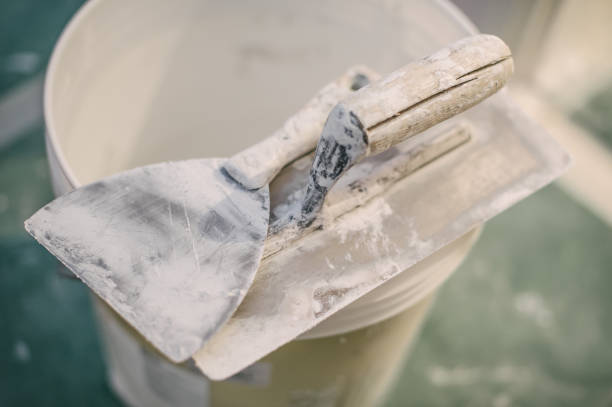 Environmental Consulting for Mold Prevention in Tahoe Vista, CA
